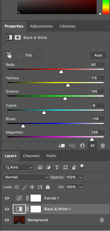 screenshot of edits made in the black and white layer option in photoshop
