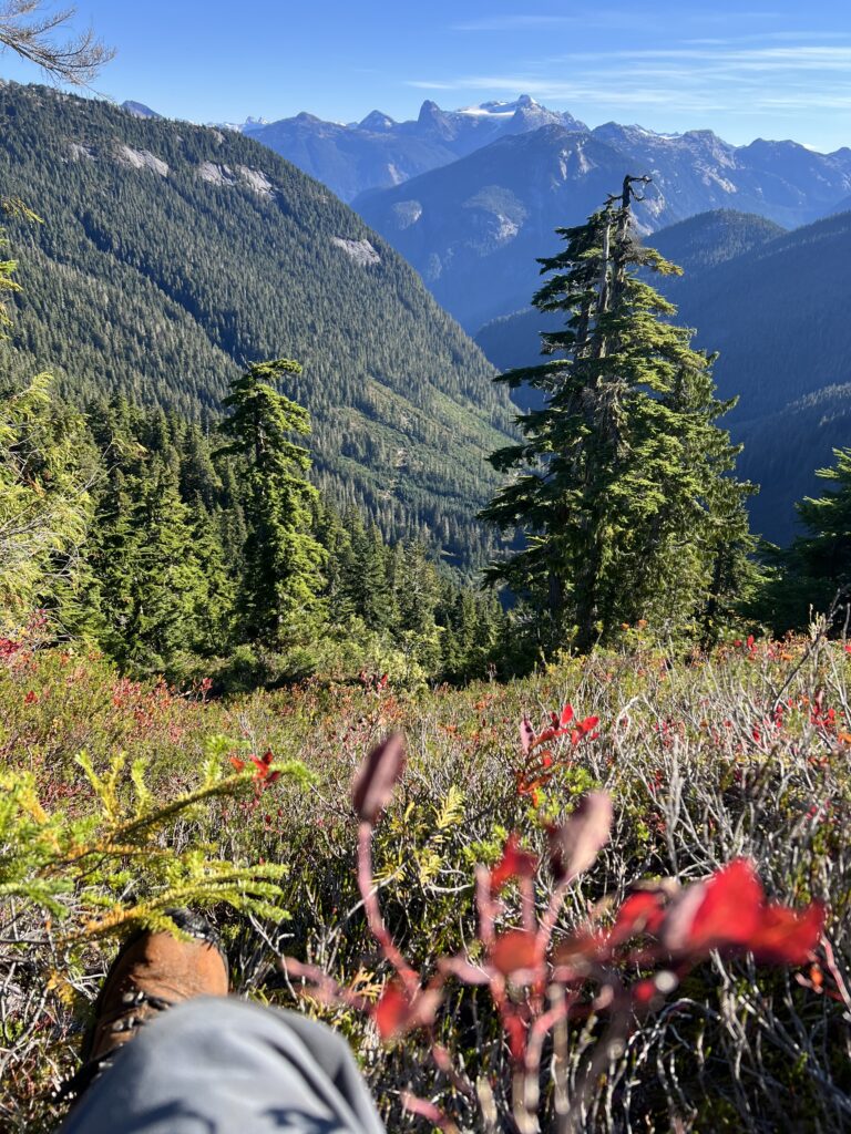 photo of a landscape of mountains from a hike